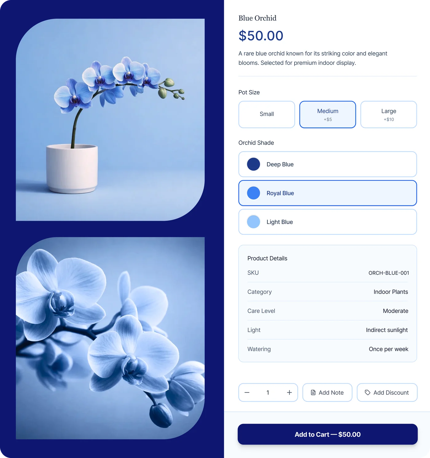 A plant shop's product page for a blue orchid with pot size and shade options