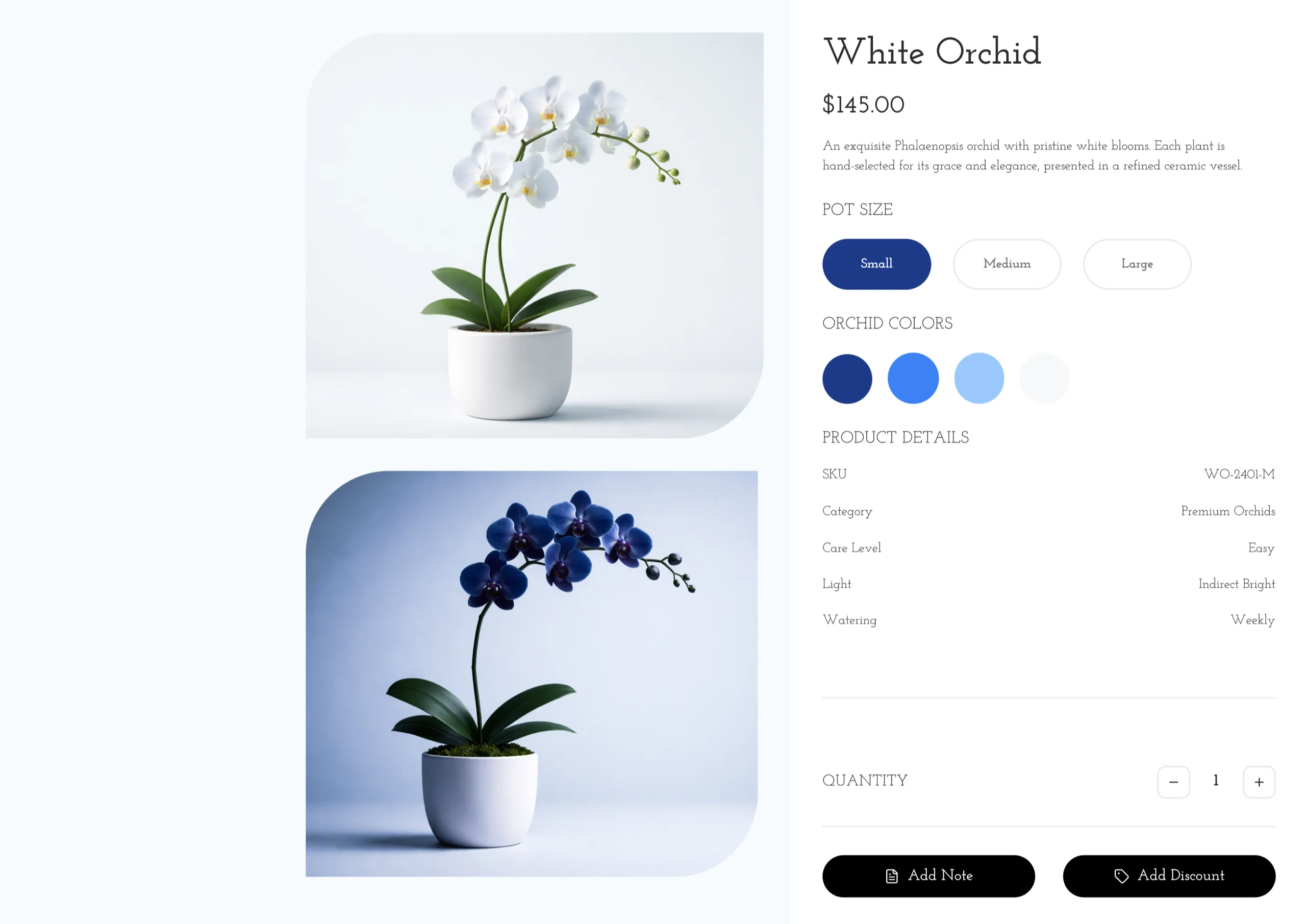 White Orchid product detail