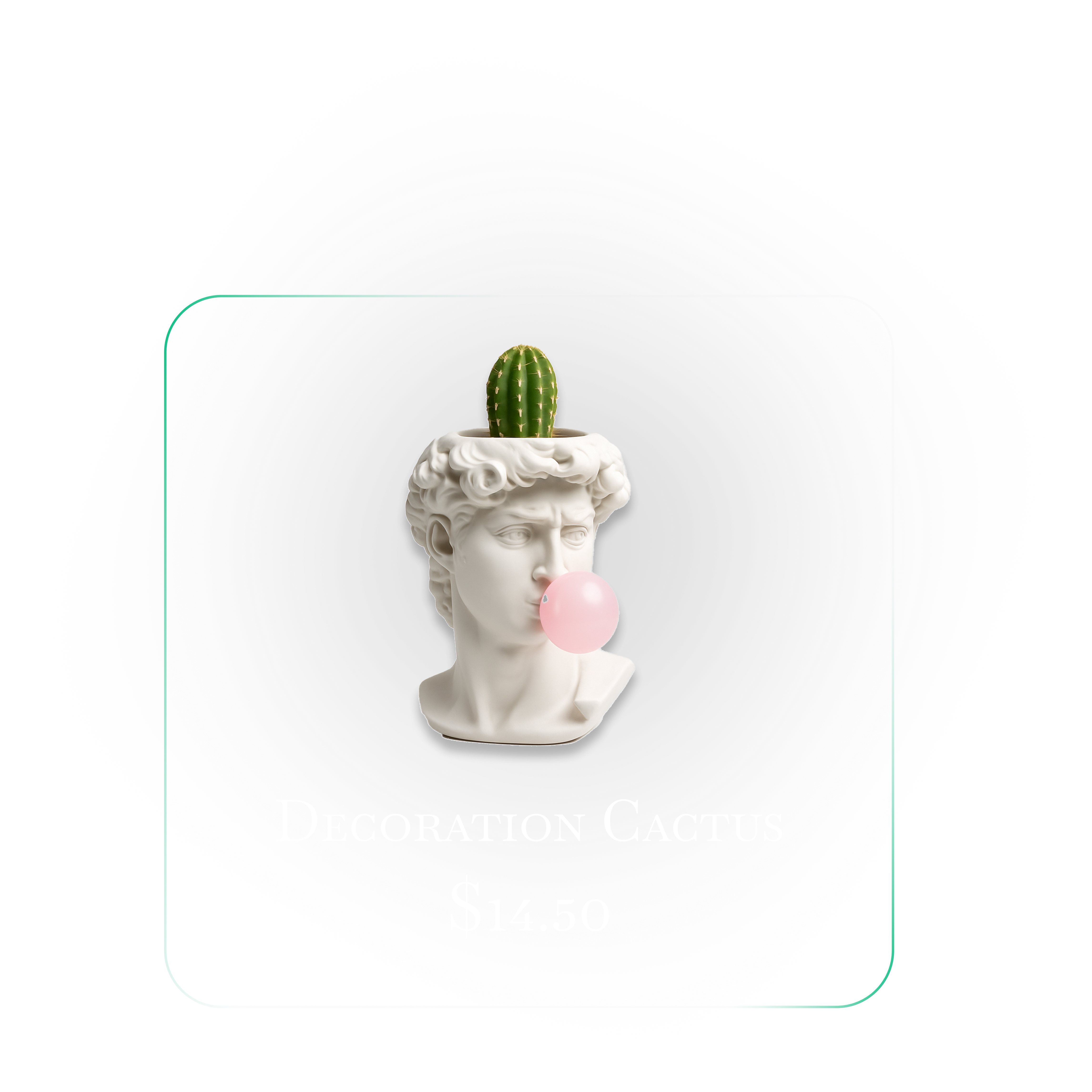 Decoration Cactus — $14.50